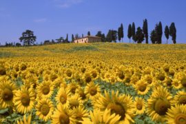 agriturismi toscana