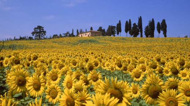 agriturismi toscana