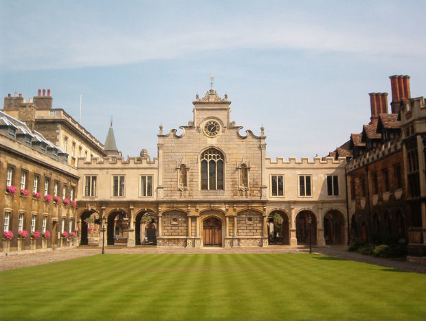 università