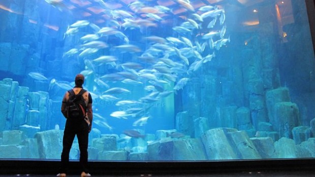 acquario Parigi