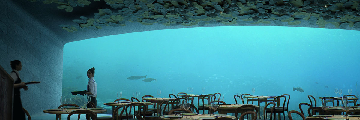 norvegia ristornate subacqueo