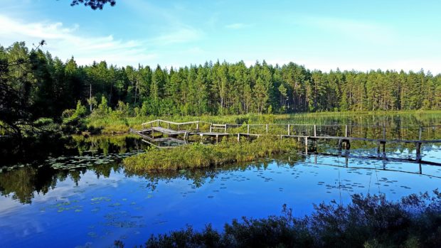 vacanze svezia