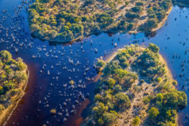 laghi botswana