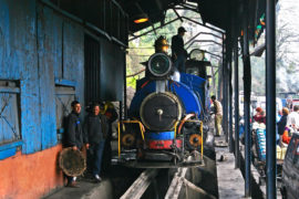 darjeeling treno